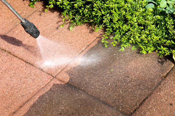 Best House Pressure Washing  in USA